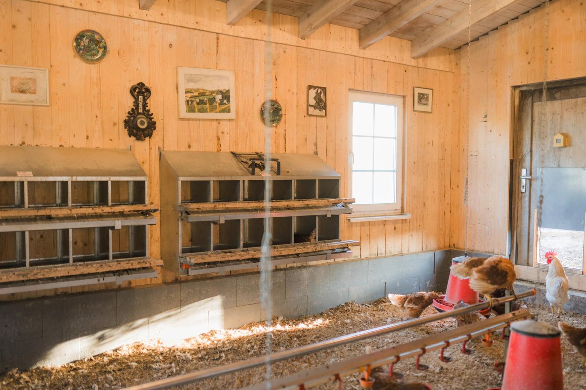 Hof Koehne - Doppelhaus - Wohnung Dreifachhexe Schmallenberg Esterno foto